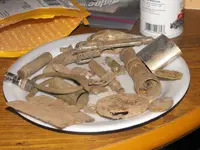 DSCF3246.webp