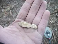 100_2573.webp