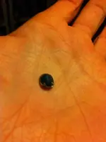 gemstone funde 1055.webp