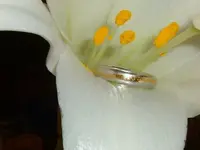 DSCF2172.webp