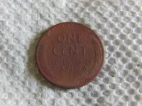 CIMG5482.webp