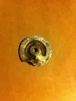 Ufo funde 1113.webp Ufo funde 1113.webp