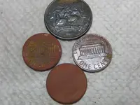 CIMG5498.webp