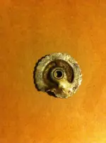 Ufo funde 1114.webp