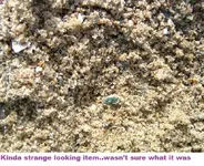 DSCF2150.webp