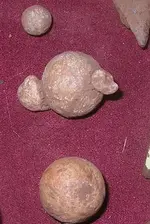 fused buck and ball.webp