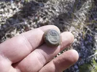 APRIL 6TH 3 COPPERS & A REV WAR NAVAL CUFF BUTTON 004.webp