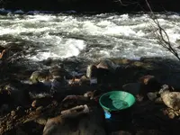 image-982814003.webp