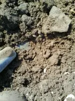 130408_0001.webp