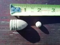 69caliber.webp
