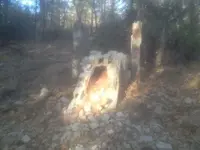 image-3898074938.webp