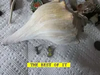 0408BEST.webp