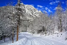 4-3d.webp