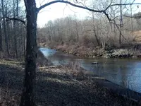 image-2763679025.webp