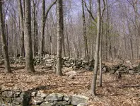 sunday hunt 1 008.webp