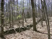 sunday hunt 1 010.webp