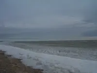 100_6358.webp