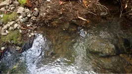 image-804395006.webp