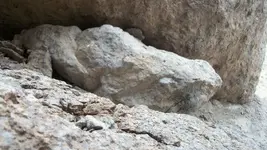 backside of one of the faces.webp