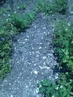 ForumRunner_20130430_052310.webp