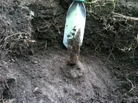 stone_slab1.webp