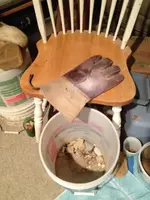 image-3635706485.webp
