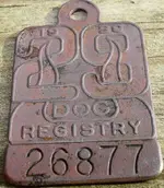 29 DOG REGISTRY.webp