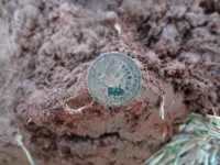 Metal Detecting 2013 169.webp