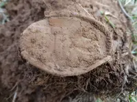 Metal Detecting 2013 171.webp