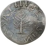 pine_tree_n05_2obv.webp