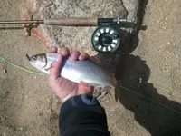 2013-05-01 15.34.25.webp