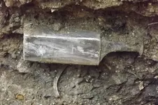 DSCF3765.webp