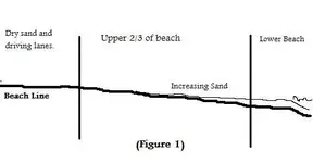 beach dia.webp