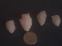 arrow heads 005.webp