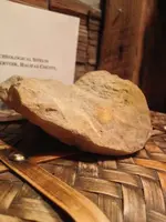 image-3206916004.webp
