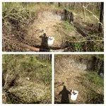 PicStich1.webp