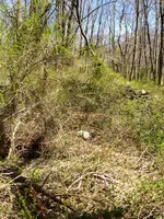 Photo1.webp