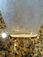image-1203791100.webp