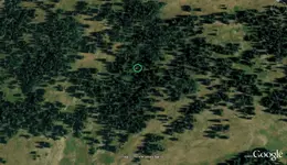 LL90dowsed.webp