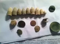 todays diggs.webp