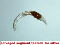 DSCF2183.webp