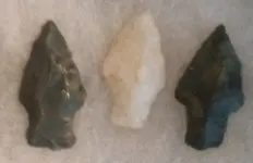 image-3608294914.webp