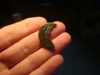 toasted coin 002.webp