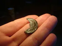 toasted coin 003.webp