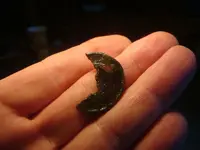 toasted coin 004.webp