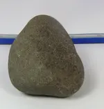 Nutting Stone Back.webp