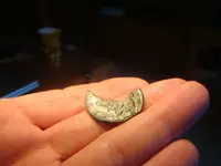 toasted coin 006.webp
