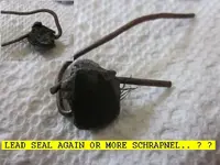 0425SEAL.webp