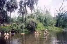 scan00101.webp
