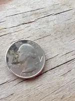 quarter.webp